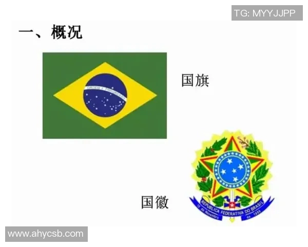 足球明星与巴勒斯坦国旗的故事：团结与希望的象征