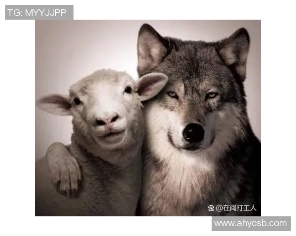 黑眼圈足球明星的奋斗与荣耀背后揭示的真实故事与挑战